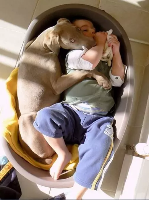 Cuddle