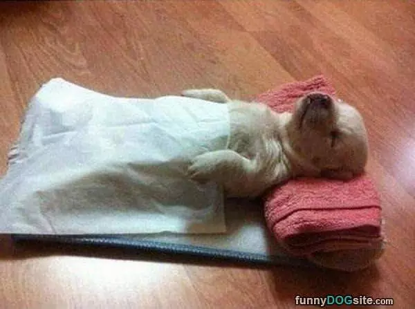 Napping With A Blanket