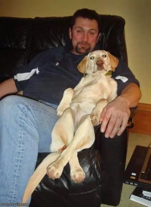 Love This Couch