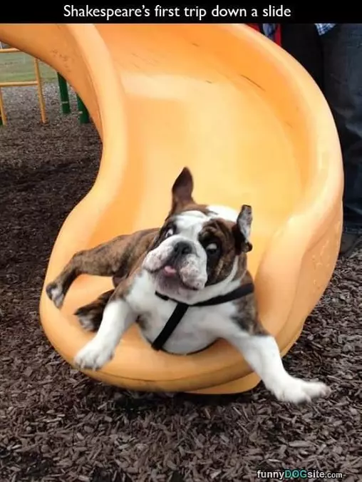 Going Down The Slide