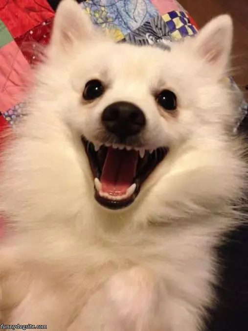 You Are Hilarious