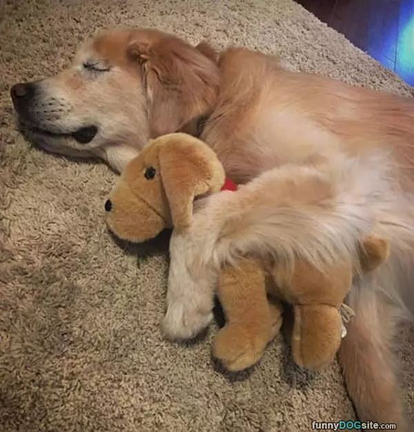 Dreaming Of Cute Things