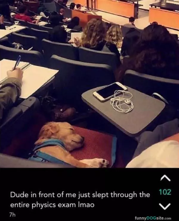 Just Sleeping Through The Entire Exam