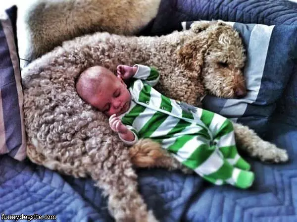 Fluffy Warm Pillow