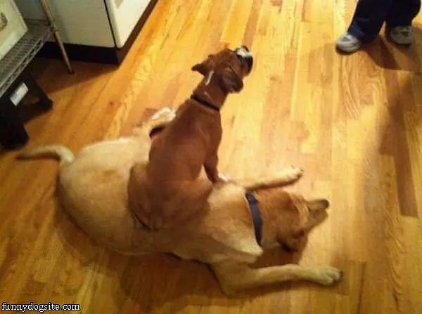 I Have My Seat