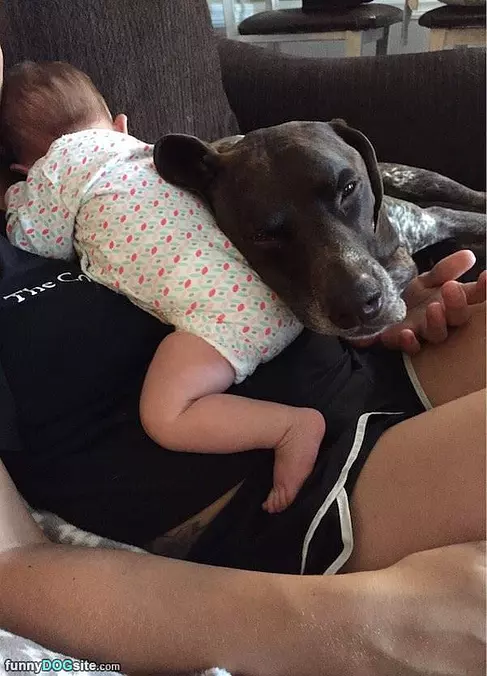 I Like This Baby