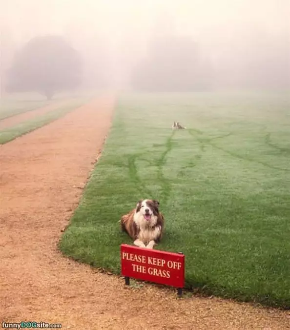 Keep Off The Grass Here