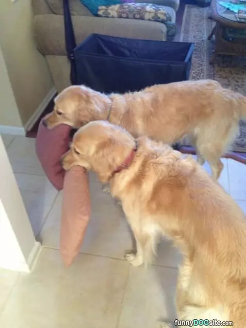 We Are Sharing