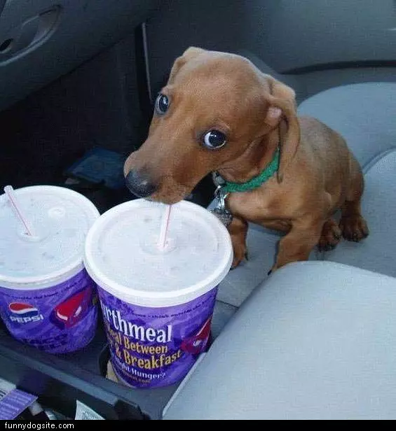 Thirsted
