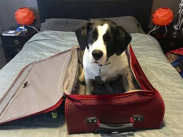 Can You Take Me With You
