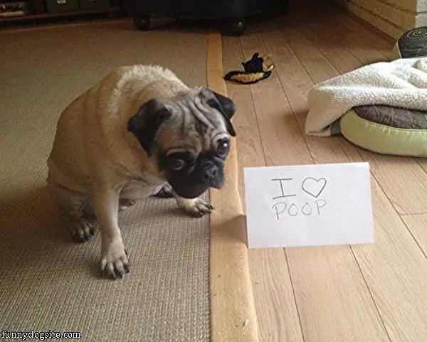 Loves Poop