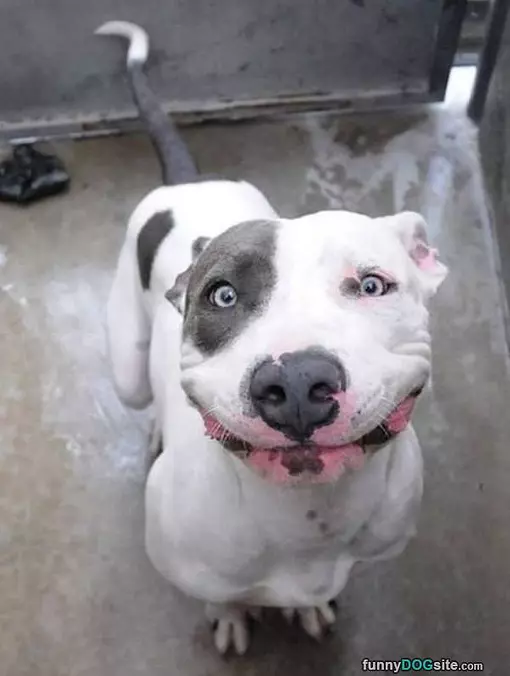 A Big Smile