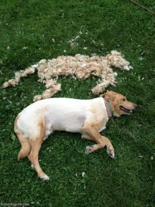 Used To Be Me