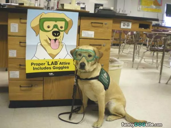 Proper Lab Attire