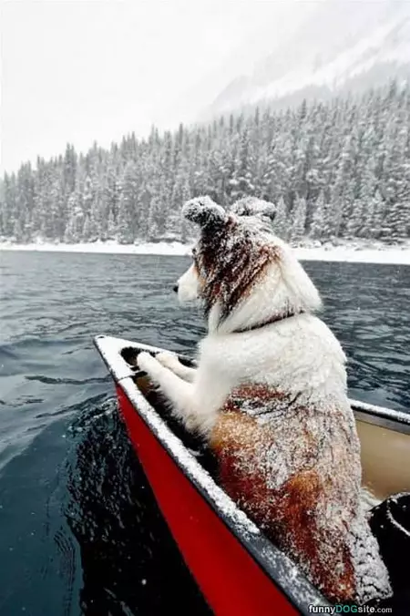 Out In The Snowy Day
