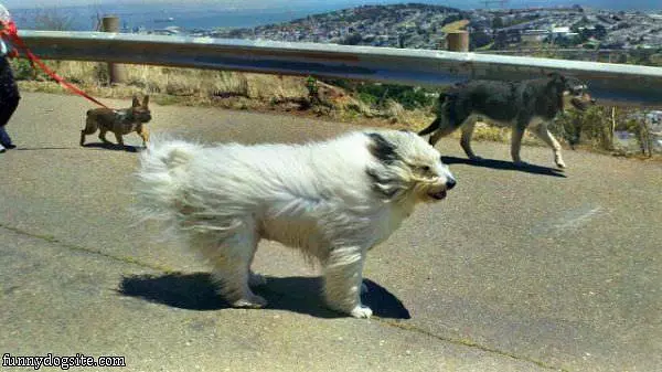 Windy Day