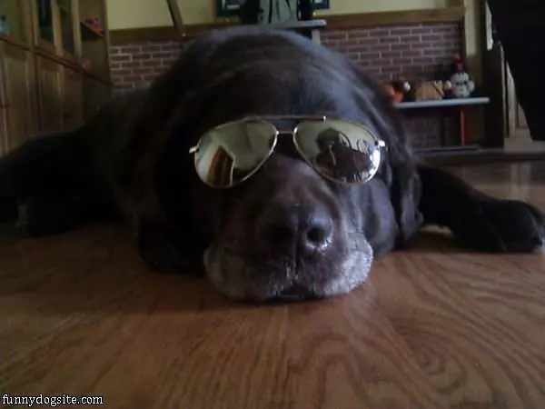 My Chillin Sunglasses