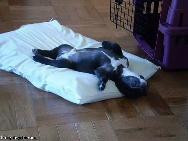 I Looove This Pillow