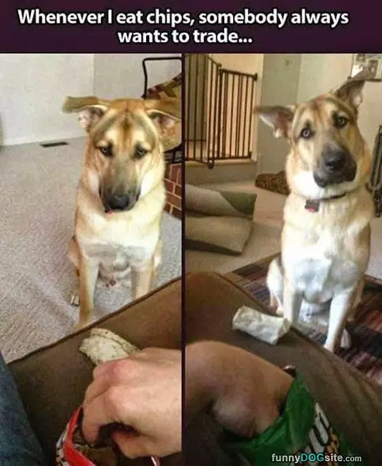 Do You Want To Trade