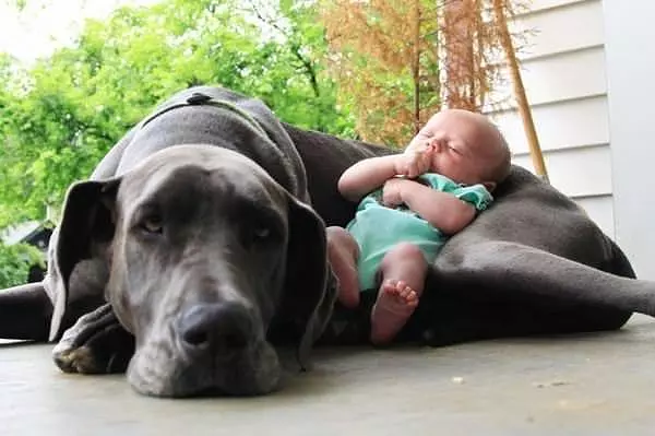 My Body Guard