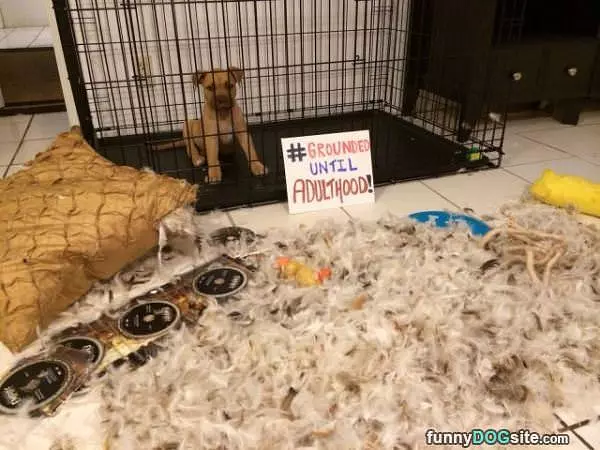 Made A Little Mess