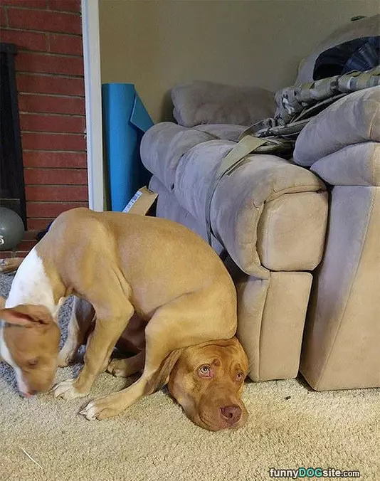 I Got A Seat
