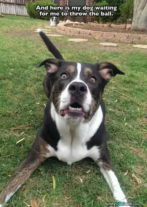 Waiting For The Ball
