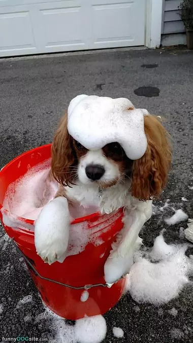 Cute Fluffy Bath