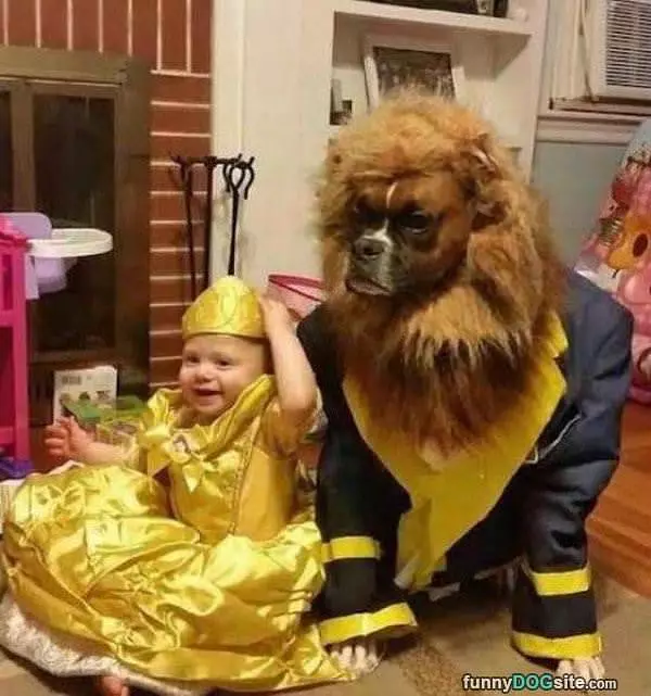 All Dressed Up