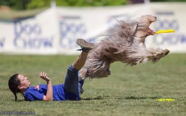 Frisby Fetcher