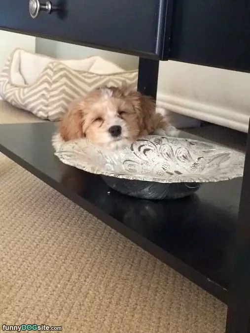 So Sleepy