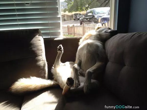 So Comfortable Right Now