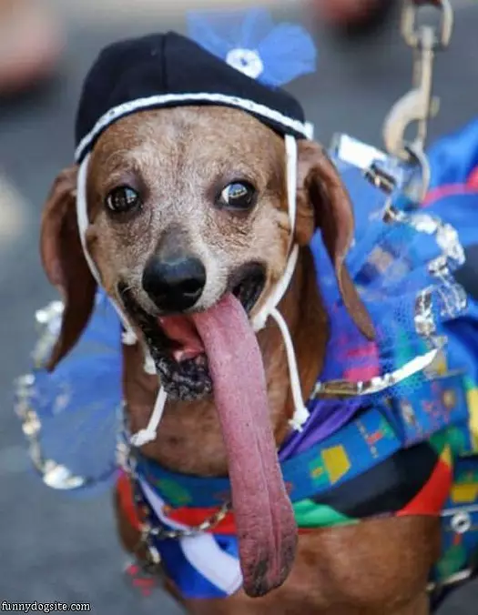 Long Tongue