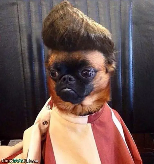 Nice Hair
