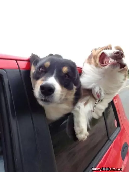 Faster Human Faster