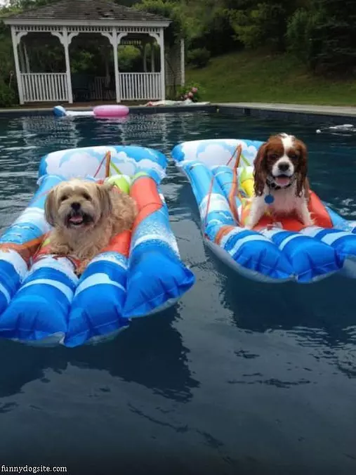 Relaxing In The Pool