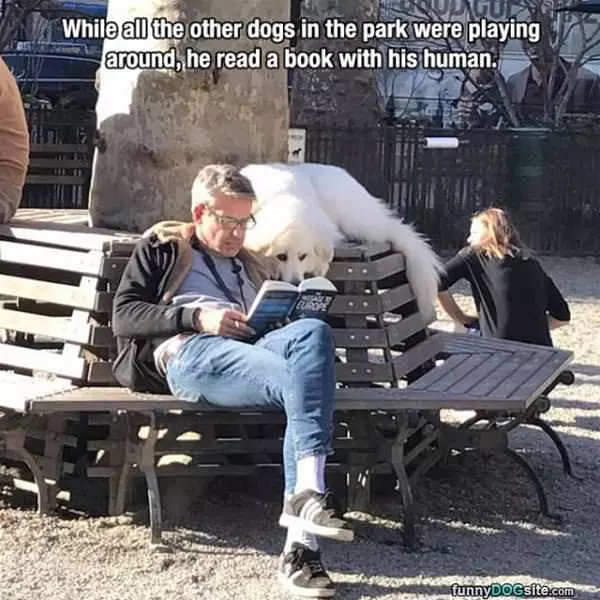 Reading A Book