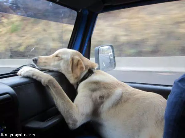 Just Resting My Head