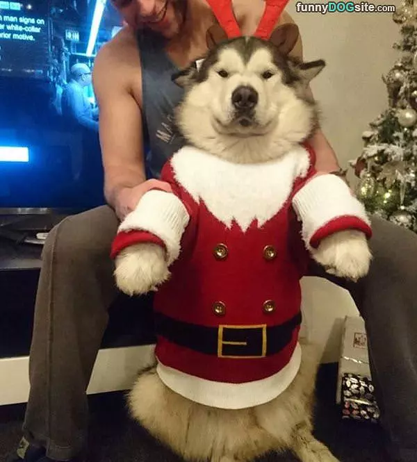 I Am So Ready For Santa