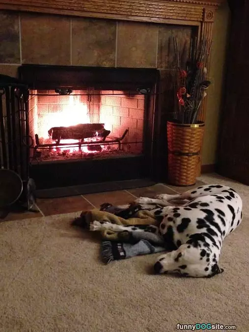 Coach Staying Warm