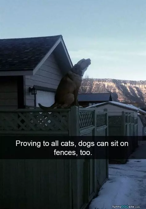 I Can Do That Too