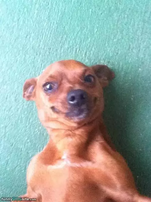 Showing Off My Cute Smile