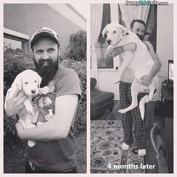 4 Months Later