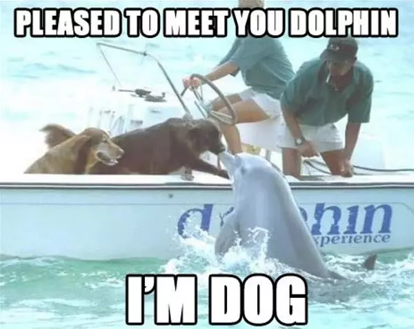Pleased To Meet You