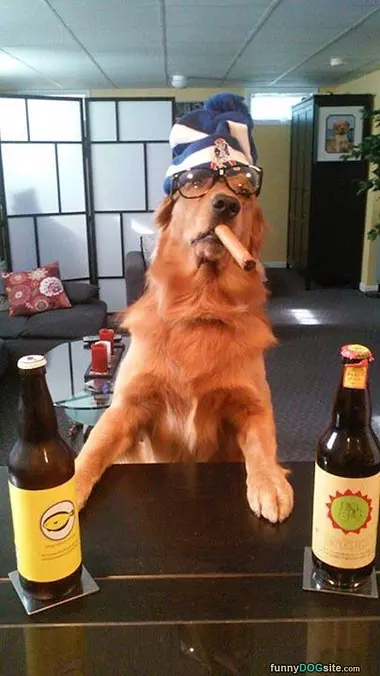 Cigar Dog