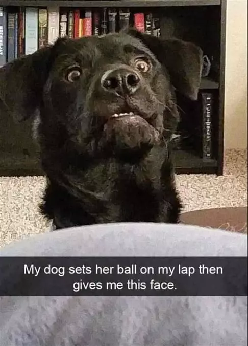Sets The Ball Down And Gives Me This Face