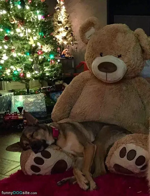 Taking A Nap