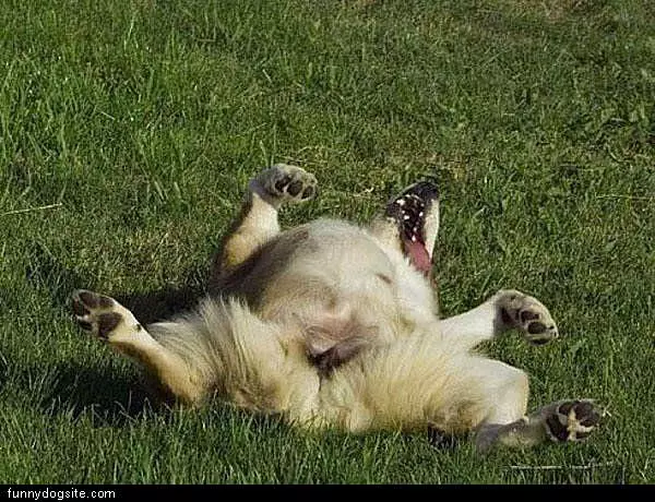 Just Laying Around