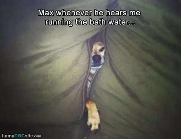 Running The Bath