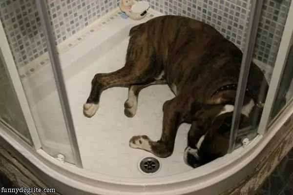 I Found A New Bed